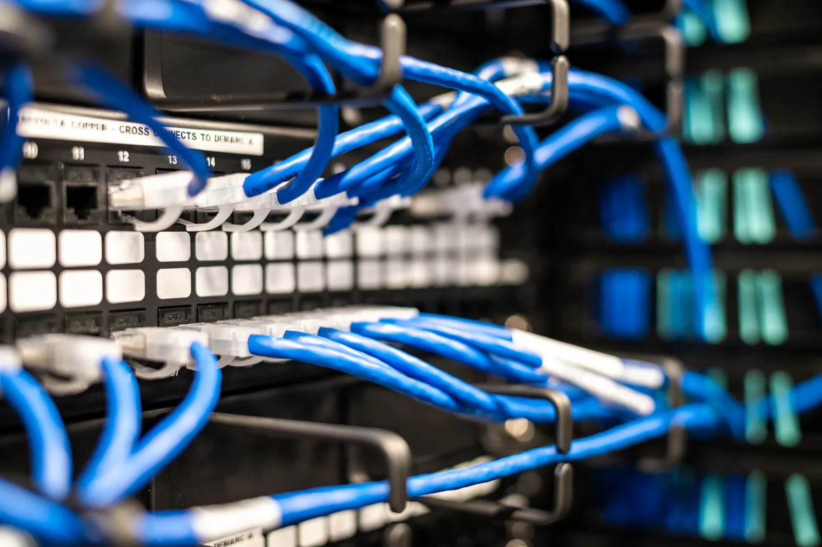 Close-up of blue patch cables looped through cable-management bars on a patch panel