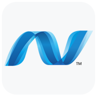 dotnet developer Acveti